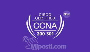 CCNA1-200-301
