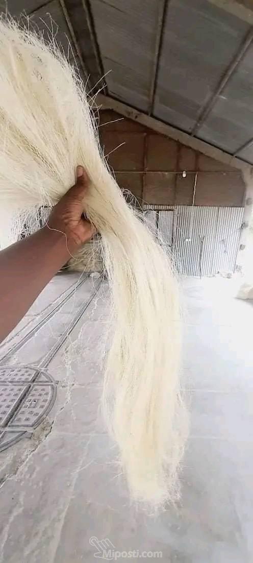 Sisal Fiber Grade Ug for Export