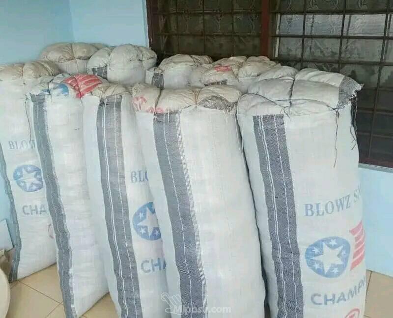 Coconut Fiber for Sale