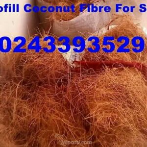 Coconut-Fiber